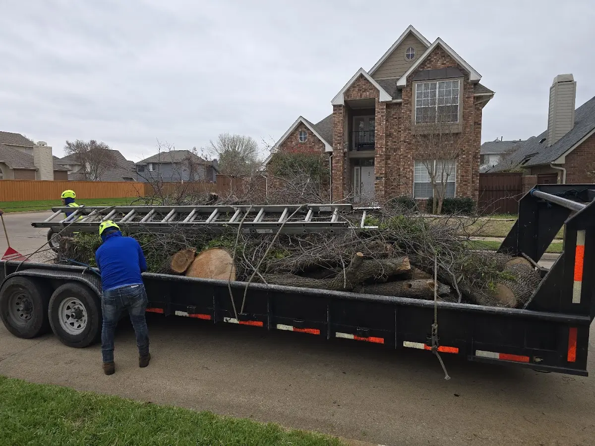 Expert Tree Fertilization with proper safety equipment in East Greenbush